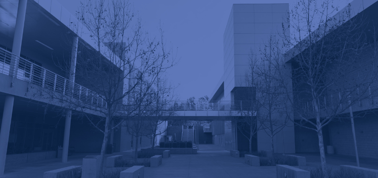 BCE Division