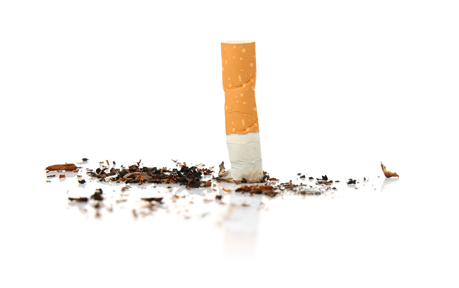 Smoke &amp; Tobacco Free Campus