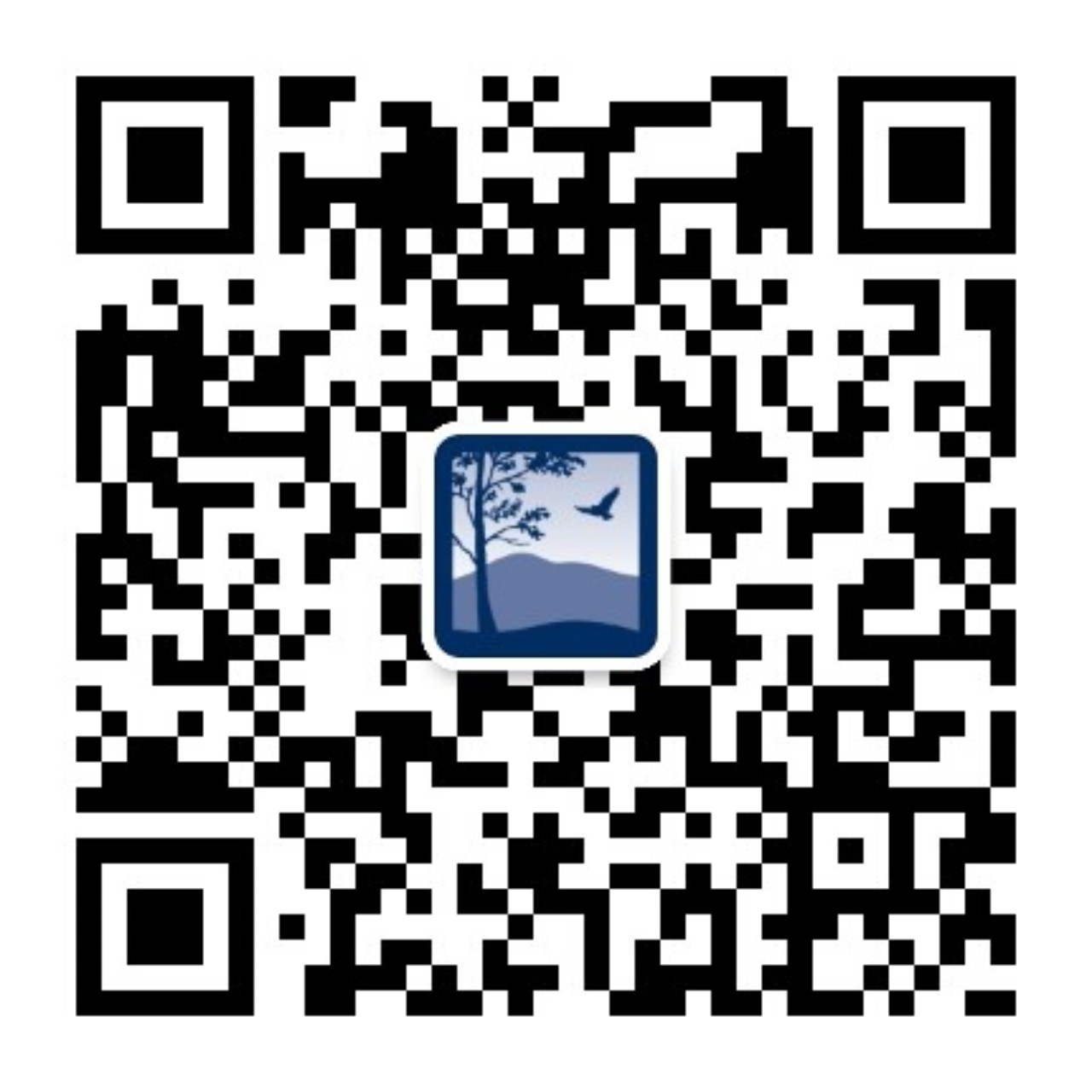 SCC Official Subscriber Account